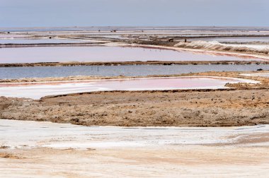 Namib naukluft Milli Parkı, Namibya