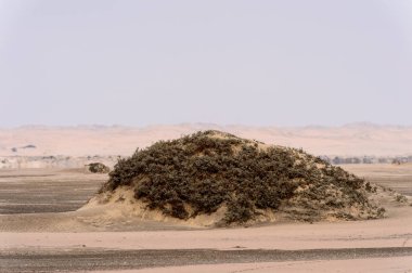 Namib-Naukluft Milli Parkı'nın güzel manzarası, Namibya