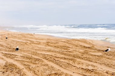 Namib-Naukluft Milli Parkı'nın güzel manzarası, Namibya