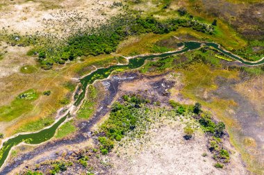 Okavango Deltası'nın (Okavango Çayırı) güzel havadan görünümü, Afrika'nın Yedi Doğa Harikasından biri, Botsvana