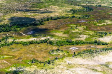 Okavango Deltası'nın (Okavango Çayırı) güzel havadan görünümü, Afrika'nın Yedi Doğa Harikasından biri, Botsvana