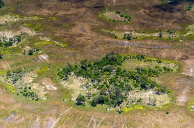 Okavango Deltası'nın (Okavango Çayırı) güzel havadan görünümü, Afrika'nın Yedi Doğa Harikasından biri, Botsvana