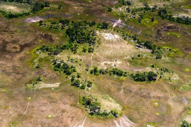 Okavango Deltası'nın (Okavango Çayırı) güzel havadan görünümü, Afrika'nın Yedi Doğa Harikasından biri, Botsvana