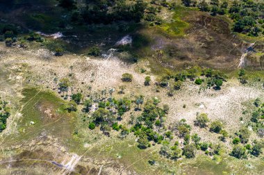 Okavango Deltası'nın (Okavango Çayırı) güzel havadan görünümü, Afrika'nın Yedi Doğa Harikasından biri, Botsvana