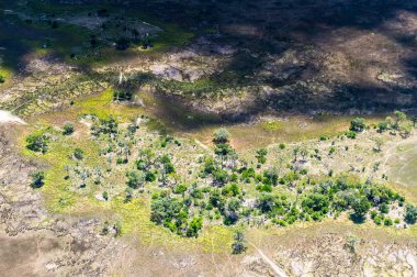 Okavango Deltası'nın (Okavango Çayırı) güzel havadan görünümü, Afrika'nın Yedi Doğa Harikasından biri, Botsvana