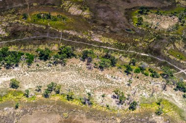 Okavango Deltası'nın (Okavango Çayırı) güzel havadan görünümü, Afrika'nın Yedi Doğa Harikasından biri, Botsvana