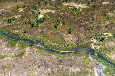Okavango Deltası'nın (Okavango Çayırı) güzel havadan görünümü, Afrika'nın Yedi Doğa Harikasından biri, Botsvana