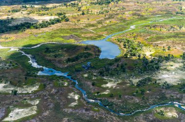 Okavango Deltası'nın (Okavango Çayırı) güzel havadan görünümü, Afrika'nın Yedi Doğa Harikasından biri, Botsvana