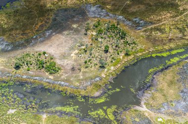 Okavango Deltası'nın (Okavango Çayırı) güzel havadan görünümü, Afrika'nın Yedi Doğa Harikasından biri, Botsvana