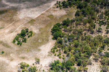 Okavango Deltası'nın (Okavango Çayırı) güzel havadan görünümü, Afrika'nın Yedi Doğa Harikasından biri, Botsvana