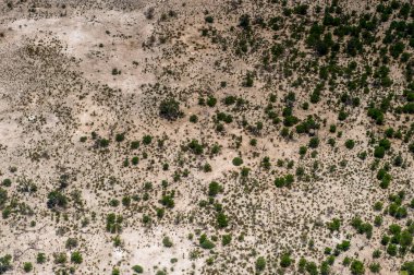Okavango Deltası'nın (Okavango Çayırı) güzel havadan görünümü, Afrika'nın Yedi Doğa Harikasından biri, Botsvana