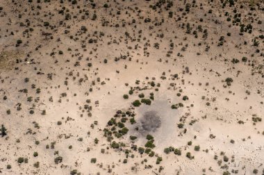 Okavango Deltası'nın (Okavango Çayırı) güzel havadan görünümü, Afrika'nın Yedi Doğa Harikasından biri, Botsvana