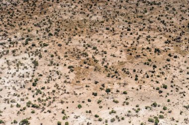 Okavango Deltası'nın (Okavango Çayırı) güzel havadan görünümü, Afrika'nın Yedi Doğa Harikasından biri, Botsvana