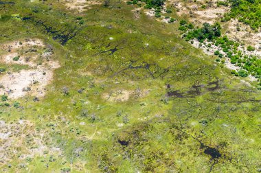 Okavango Deltası'nın (Okavango Çayırı) güzel havadan görünümü, Afrika'nın Yedi Doğa Harikasından biri, Botsvana