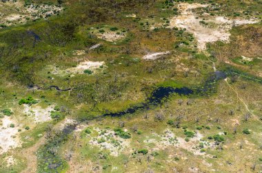 Okavango Deltası'nın (Okavango Çayırı) güzel havadan görünümü, Afrika'nın Yedi Doğa Harikasından biri, Botsvana