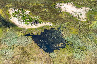 Okavango Deltası'nın (Okavango Çayırı) güzel havadan görünümü, Afrika'nın Yedi Doğa Harikasından biri, Botsvana