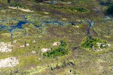 Okavango Deltası'nın (Okavango Çayırı) güzel havadan görünümü, Afrika'nın Yedi Doğa Harikasından biri, Botsvana