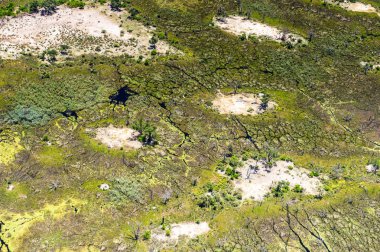 Okavango Deltası'nın (Okavango Çayırı) güzel havadan görünümü, Afrika'nın Yedi Doğa Harikasından biri, Botsvana
