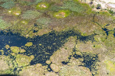 Okavango Deltası'nın (Okavango Çayırı) güzel havadan görünümü, Afrika'nın Yedi Doğa Harikasından biri, Botsvana