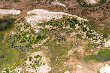 Okavango Deltası'nın (Okavango Çayırı) güzel havadan görünümü, Afrika'nın Yedi Doğa Harikasından biri, Botsvana