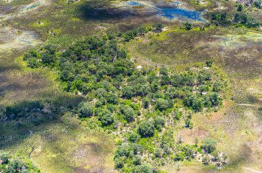 Okavango Deltası'nın (Okavango Çayırı) güzel havadan görünümü, Afrika'nın Yedi Doğa Harikasından biri, Botsvana