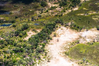 Okavango Deltası'nın (Okavango Çayırı) güzel havadan görünümü, Afrika'nın Yedi Doğa Harikasından biri, Botsvana
