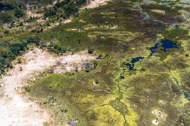 Okavango Deltası'nın (Okavango Çayırı) güzel havadan görünümü, Afrika'nın Yedi Doğa Harikasından biri, Botsvana