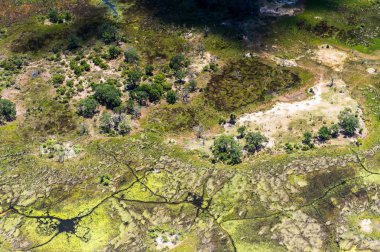 Okavango Deltası'nın (Okavango Çayırı) güzel havadan görünümü, Afrika'nın Yedi Doğa Harikasından biri, Botsvana