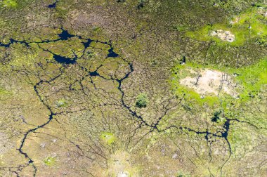 Okavango Deltası'nın (Okavango Çayırı) güzel havadan görünümü, Afrika'nın Yedi Doğa Harikasından biri, Botsvana