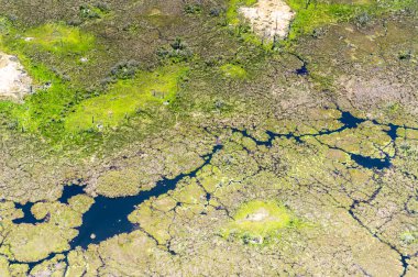 Okavango Deltası'nın (Okavango Çayırı) güzel havadan görünümü, Afrika'nın Yedi Doğa Harikasından biri, Botsvana