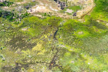 Okavango Deltası'nın (Okavango Çayırı) güzel havadan görünümü, Afrika'nın Yedi Doğa Harikasından biri, Botsvana