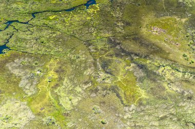 Okavango Deltası'nın (Okavango Çayırı) güzel havadan görünümü, Afrika'nın Yedi Doğa Harikasından biri, Botsvana