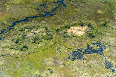 Okavango Deltası'nın (Okavango Çayırı) güzel havadan görünümü, Afrika'nın Yedi Doğa Harikasından biri, Botsvana