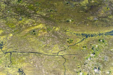 Okavango Deltası'nın (Okavango Çayırı) güzel havadan görünümü, Afrika'nın Yedi Doğa Harikasından biri, Botsvana