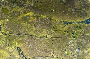 Okavango Deltası'nın (Okavango Çayırı) güzel havadan görünümü, Afrika'nın Yedi Doğa Harikasından biri, Botsvana