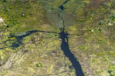 Okavango Deltası'nın (Okavango Çayırı) güzel havadan görünümü, Afrika'nın Yedi Doğa Harikasından biri, Botsvana