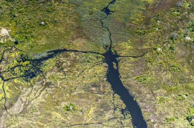 Afrika'nın Yedi Doğa Harikasından biri olan Okavango Deltası'nın (Okavango Çayırı) panoramik manzarası, Botsvana