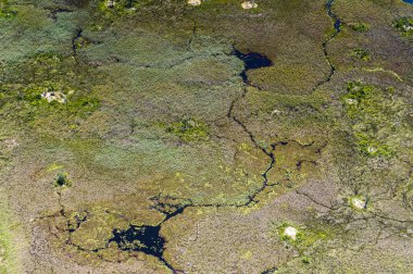 Afrika'nın Yedi Doğa Harikasından biri olan Okavango Deltası'nın (Okavango Çayırı) panoramik manzarası, Botsvana