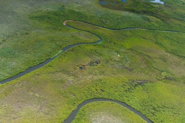 Afrika'nın Yedi Doğa Harikasından biri olan Okavango Deltası'nın (Okavango Çayırı) panoramik manzarası, Botsvana