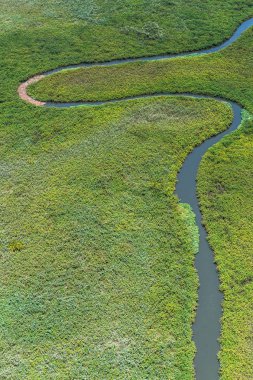 Afrika'nın Yedi Doğa Harikasından biri olan Okavango Deltası'nın (Okavango Çayırı) panoramik manzarası, Botsvana