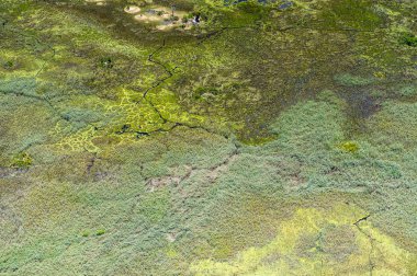 Afrika'nın Yedi Doğa Harikasından biri olan Okavango Deltası'nın (Okavango Çayırı) panoramik manzarası, Botsvana