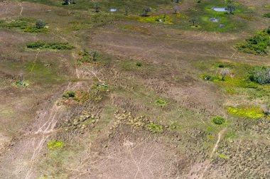 Okavango Deltası (Okavango Çayırı), Afrika'nın Yedi Doğa Harikasından Biri, Botsvana