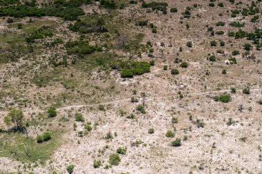 Okavango Deltası (Okavango Çayırı), Afrika'nın Yedi Doğa Harikasından Biri, Botsvana