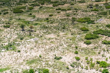 Okavango Deltası (Okavango Çayırı), Afrika'nın Yedi Doğa Harikasından Biri, Botsvana