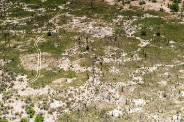 Okavango Deltası (Okavango Çayırı), Afrika'nın Yedi Doğa Harikasından Biri, Botsvana