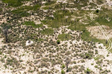 Okavango Deltası (Okavango Çayırı), Afrika'nın Yedi Doğa Harikasından Biri, Botsvana