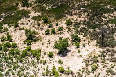 Okavango Deltası (Okavango Çayırı), Afrika'nın Yedi Doğa Harikasından Biri, Botsvana