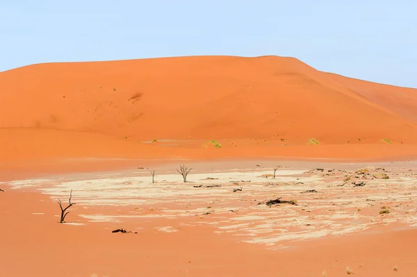 Namibia Desert Sossuvlei Africa — Stock Photo, Image