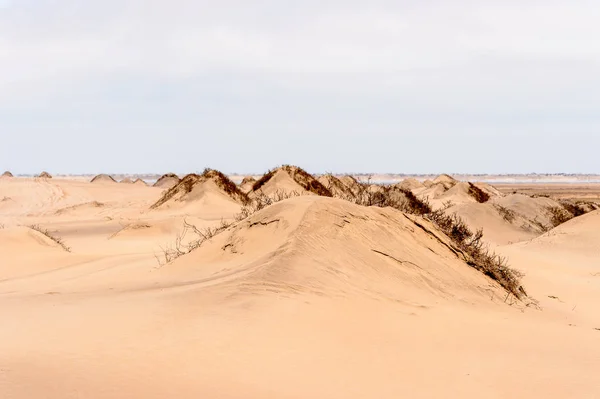 Det Vackra Landskapet Namib Naukluft Nationalpark Namibia — Stockfoto