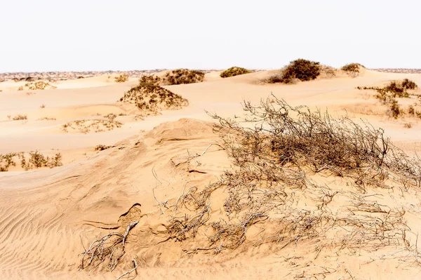 Namib Naukluft Milli Parkı Nın Güzel Manzarası Namibya — Stok fotoğraf